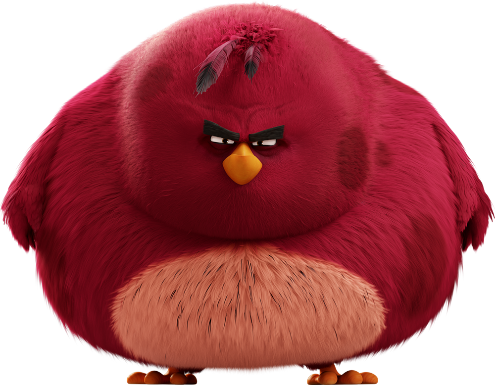 angry birds friends terence