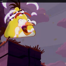 User Blog The Boomerang Chuck Time Out Now Angry Birds Wiki