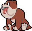 Luiz copy