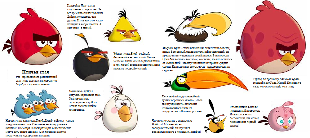 Angry birds описание птичек