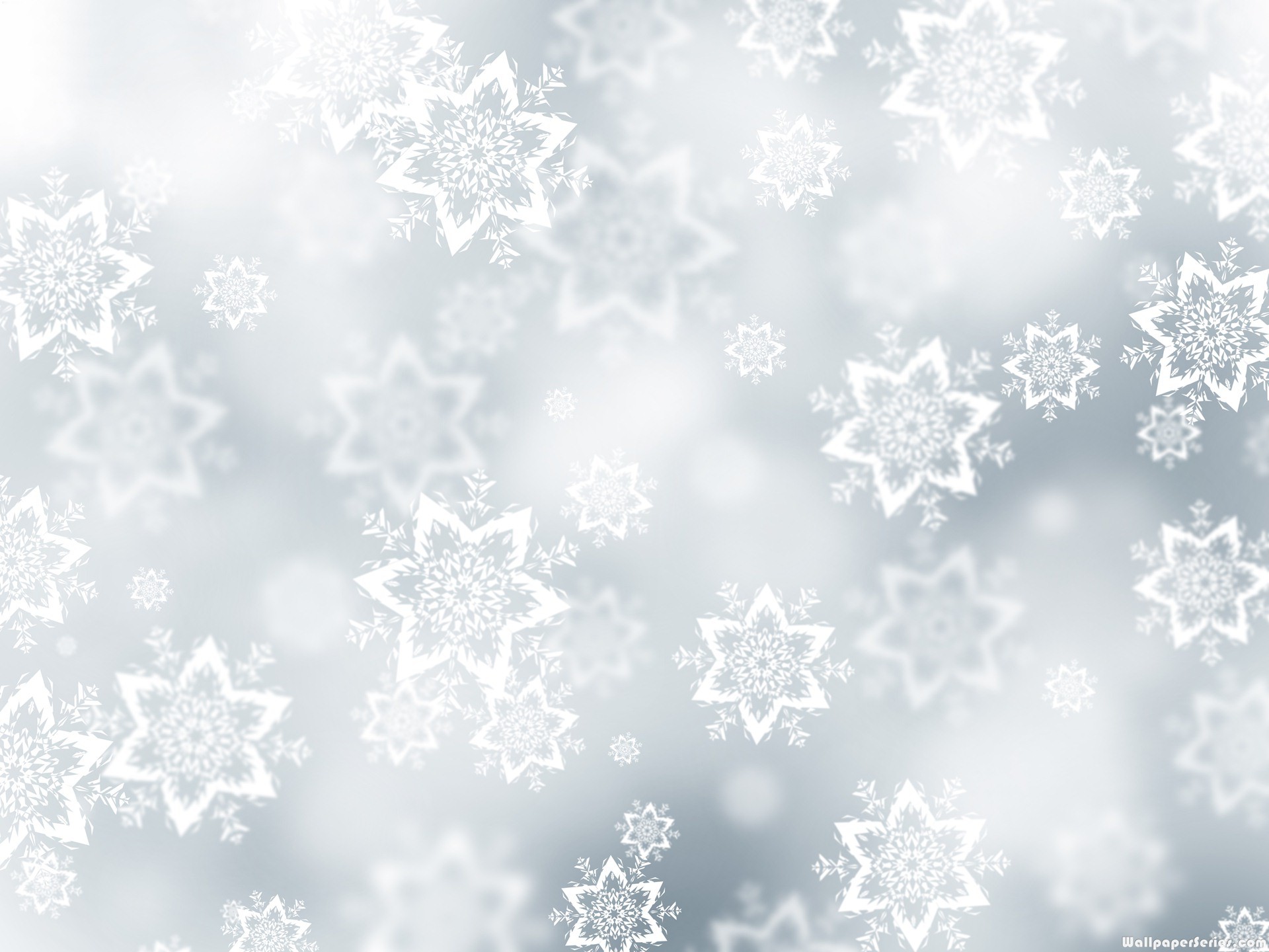 Image White Snowflake Background Wallpaper 1jpg Angry Birds