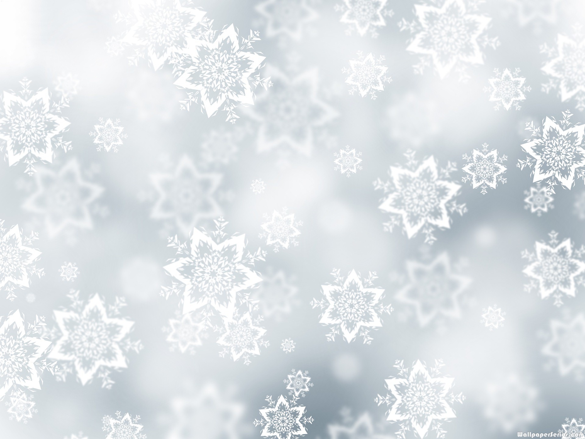 Image White Snowflake Background Wallpaper 1jpg Angry Birds Image White Snowflake Background Wallpaper 1jpg Angry Birds