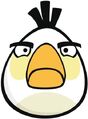 Image - White Bird Front.jpg | Angry Birds Wiki | FANDOM ...