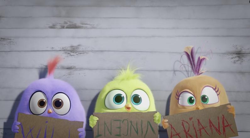 Polluelos | Angry Birds Wiki | FANDOM powered by Wikia