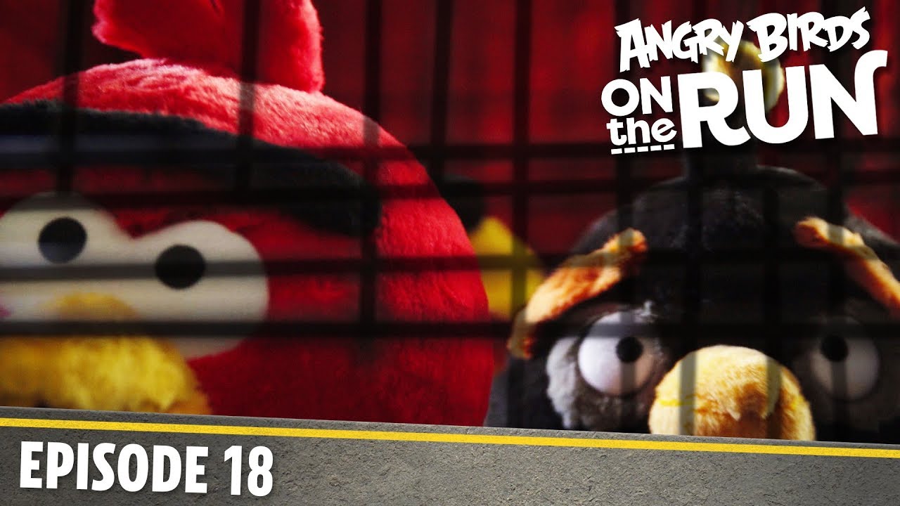 The Bird Cage Angry Birds Wiki Fandom Powered By Wikia - bluecage roblox wikia fandom powered by wikia