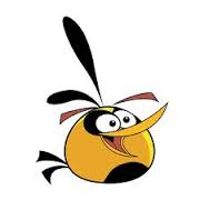 Opa