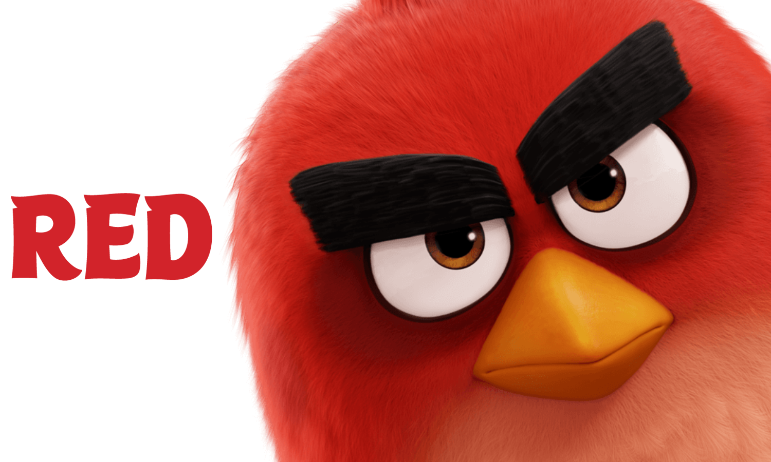 Image AngryBirdmoviered.png Angry Birds Wiki FANDOM powered by