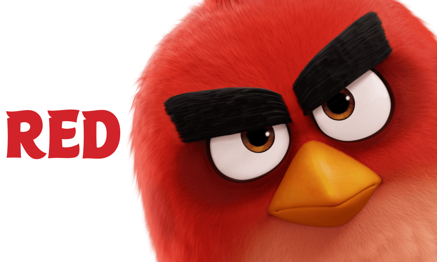 Image - Angry-Bird-movie-red.png | Angry Birds Wiki | FANDOM powered by ...