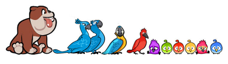 image-rio-characters-by-size-jpg-angry-birds-wiki-fandom-powered