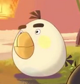 MaleWhiteBird