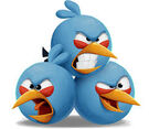 Images