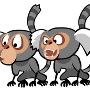 Marmosets Angry Birds Wiki Fandom