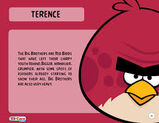 Terence.opis
