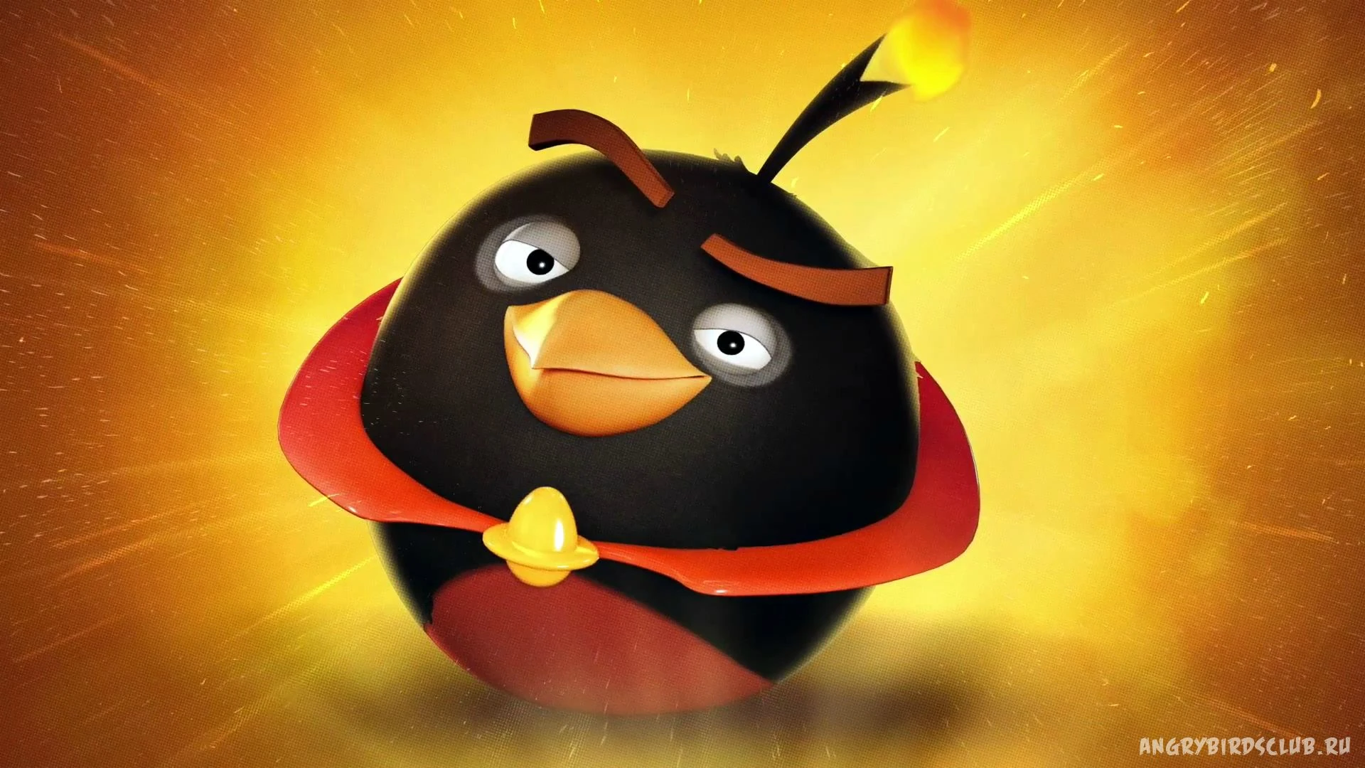 Imagen Angrybirdsspacekaboombombblackbirdiphonewallpaper.jpg