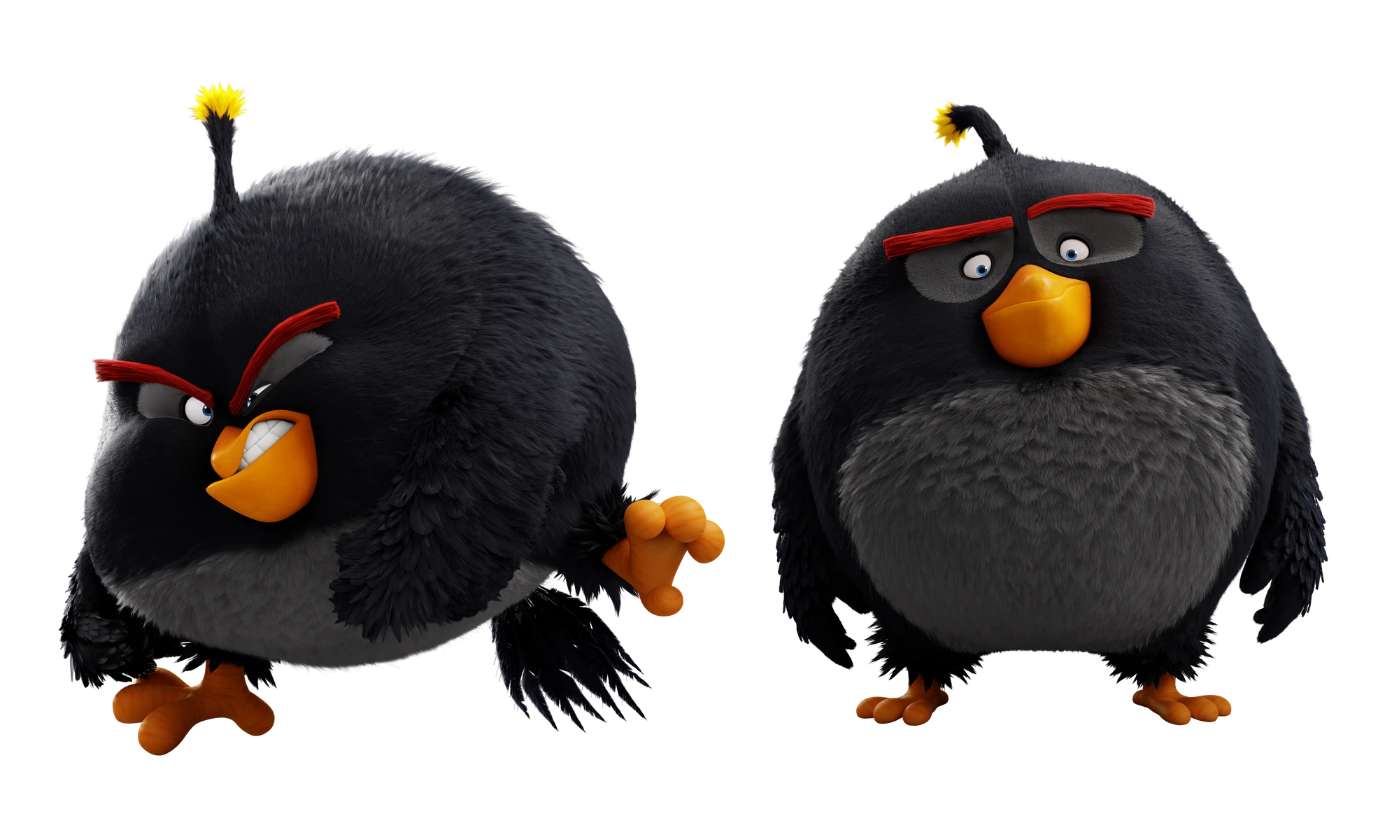 Bomb Angry Birds Wiki Fandom