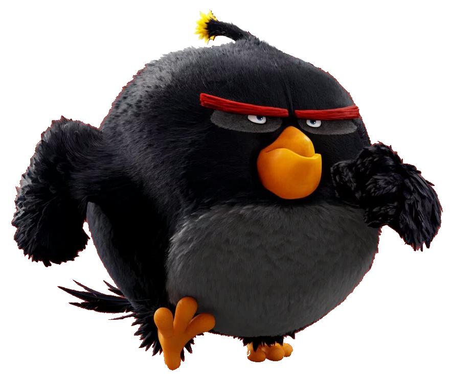 Bomb | Angry Birds Wiki | FANDOM powered by Wikia