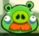 Originalmustachepig