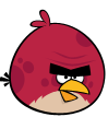 Bigbrotherangrybird