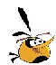Orange bird