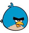 Big Blue Brother Bird