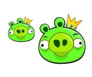 Pkpig