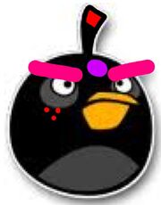 Imagexxc