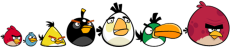 Sevenknownbirds