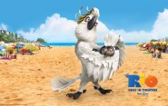 Nigeangrybirds