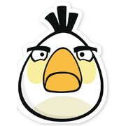 White Cut Bird