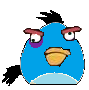 Turqoise Bird!!!