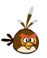 Brown Bird (real)