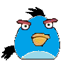Turqoise Bird