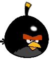 Big Brother Black Bird