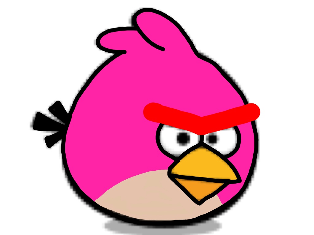 Pink Bird/Bouncy Bird Angry Birds Fanon Wiki FANDOM powered by Wikia