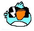 Aqua Bird