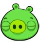 Pigwilliam