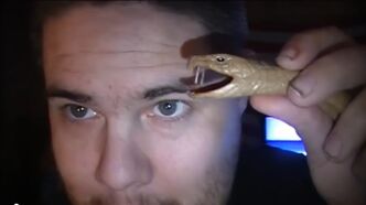 Pickleboy-and-snake