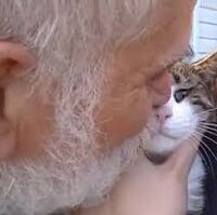 Cats Angry Grandpa Wiki Fandom