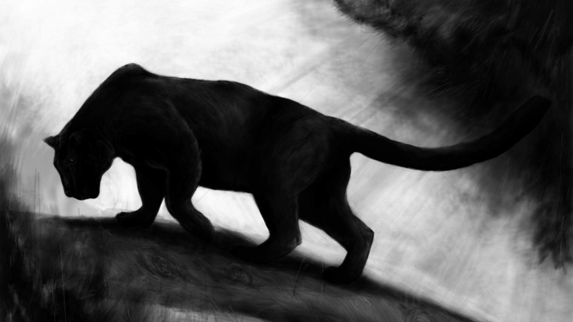 Image - Black-tiger-hd-wallpaper-dowload.jpg | Animal Jam Clans Wiki | FANDOM powered by Wikia