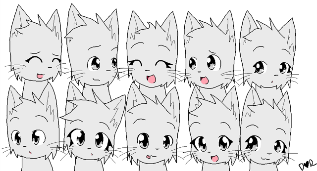 Animal jam clan Animal jam clan