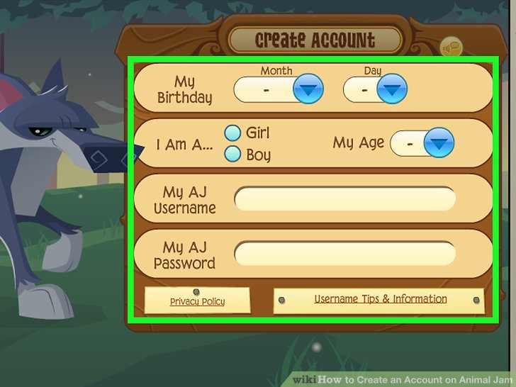 animal jam account