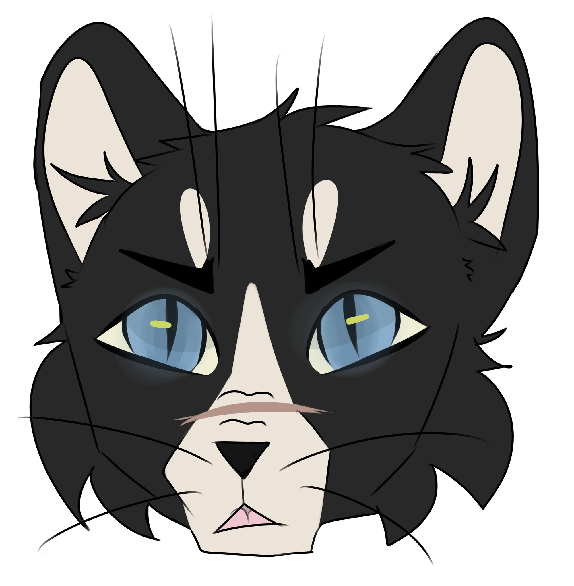 Badger Animal Jam Clans Wiki FANDOM powered by Wikia