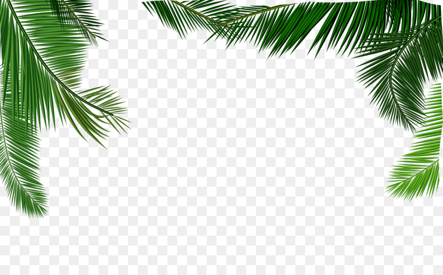 User blog Scarletava Formatted test Animal Groups User blog Scarletava Formatted test Animal Groups