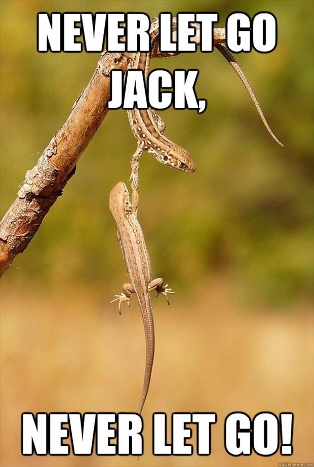 let go meme