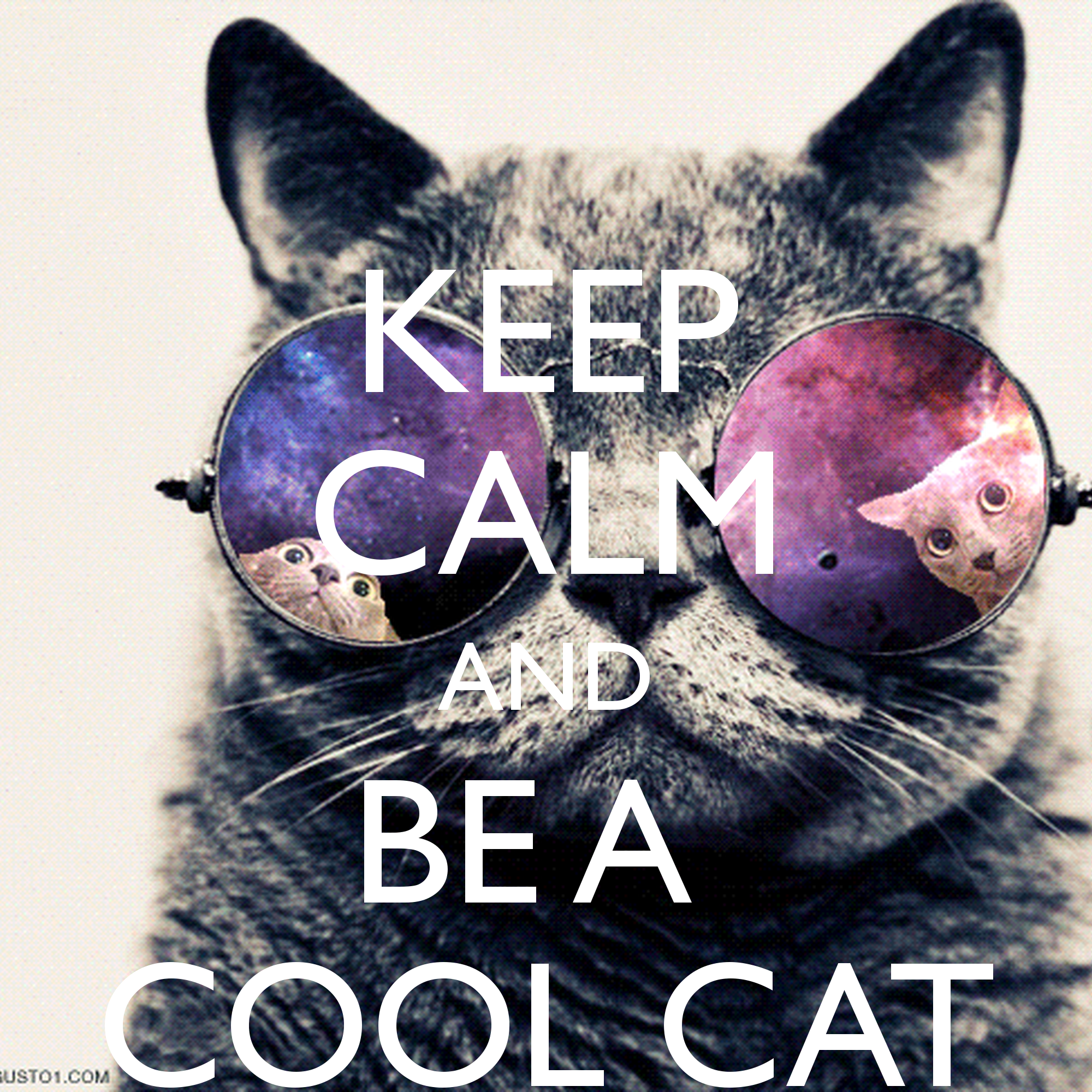 Mean cat. Надпись Cat. Кошка с надписью. Keep Calm котик. Cool Cat Queen.