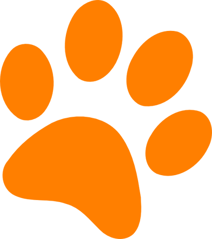 Image - Orange-Cat-Paw.png | Animal Jam Clans Wiki | FANDOM powered by ...