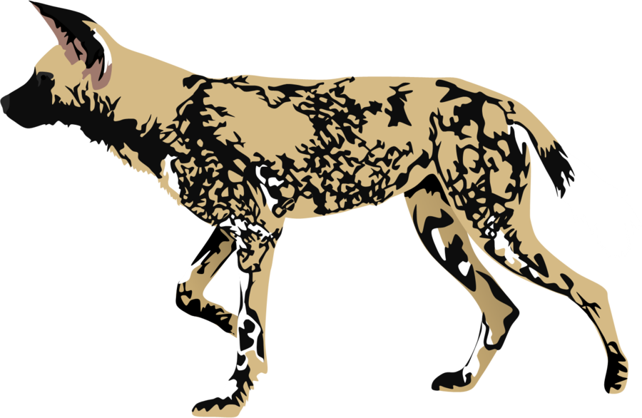 Image - African wild dog mzt2-d55lh3o.png | Animal Jam Clans Wiki