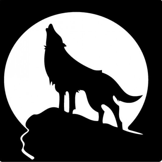 Image - Wolf shadow.PNG | Animal Jam Clans Wiki | FANDOM powered by Wikia