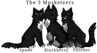 User Blog Tiger80097 The Three Musketeers Animal Groups Roleplay