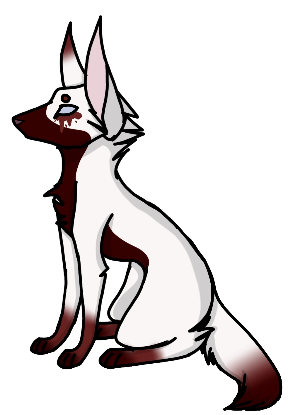 User blogRAPTXRS/Adelaide Animal Jam Clans Wiki